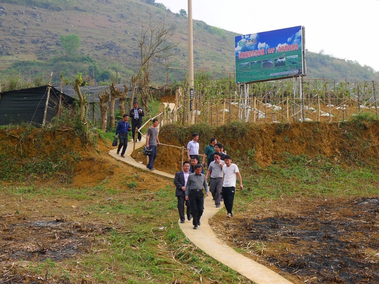 �t���ޗ��ӛ