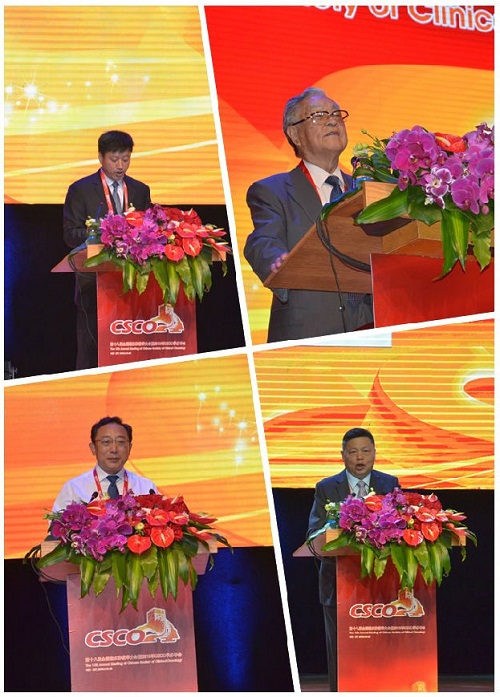 ��2015CSCO���(hu��)��Ӱ��